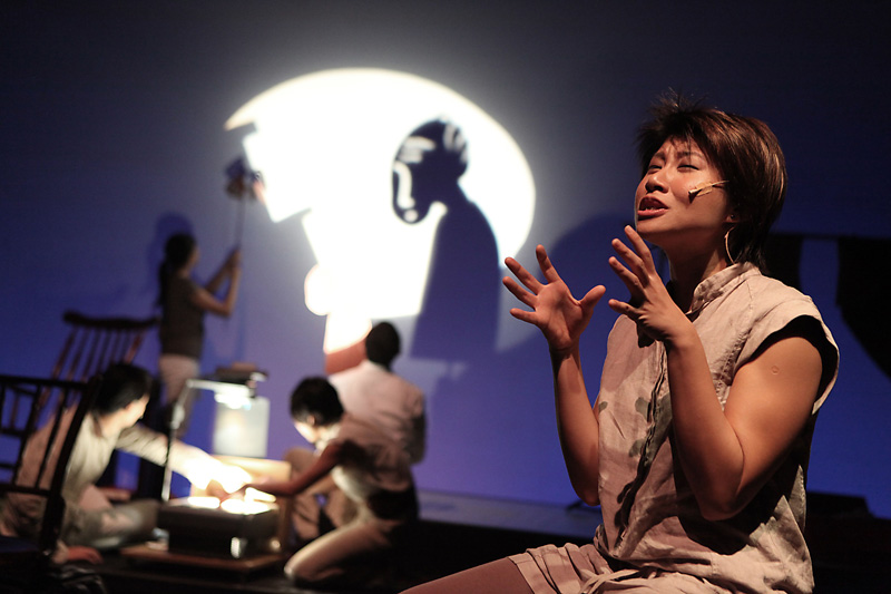 An expressive actress on foreground and shadow puppets on background in Home Boxes