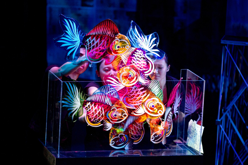 Colourful gold fish lanterns in Goldfish, Go Fish by Paper Monkey